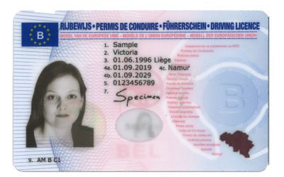 Belgian Driving License